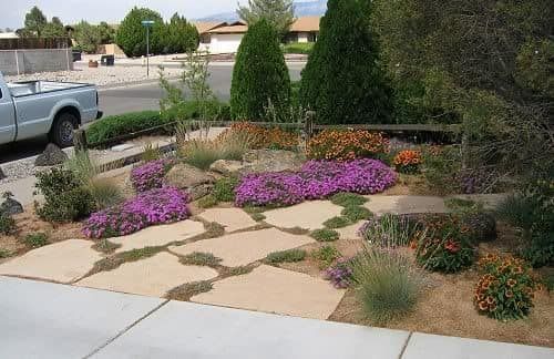 A silver truck is parked in front of a garden with purple flowers