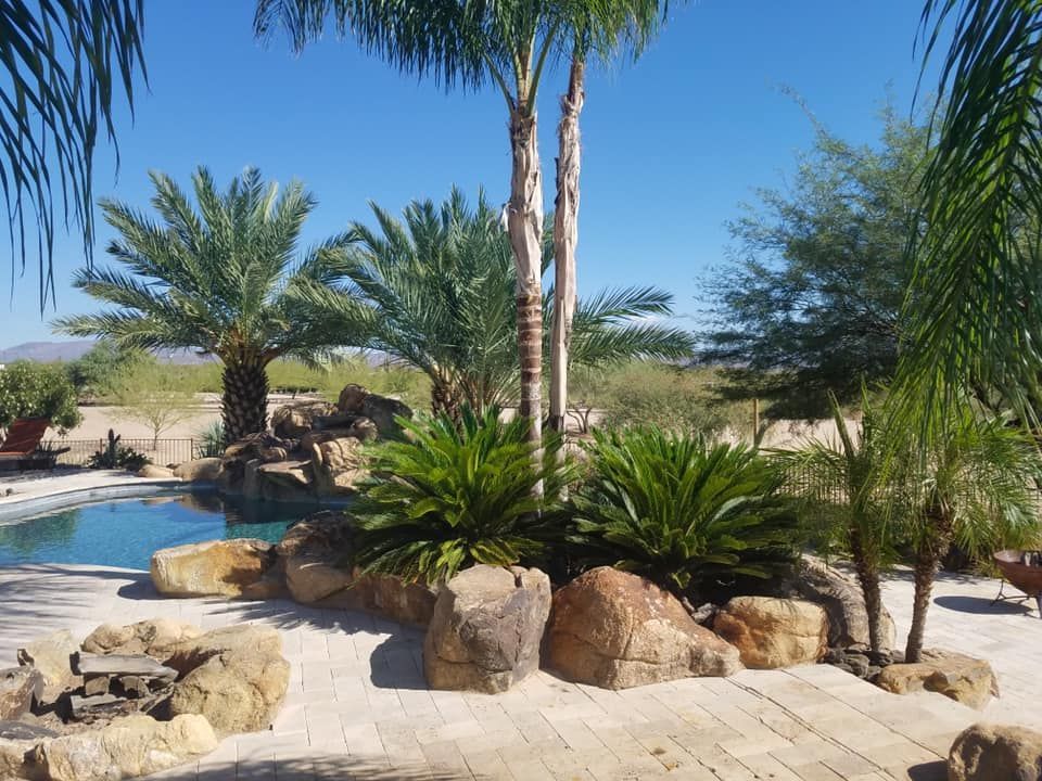 A swimming pool surrounded by palm trees and rocks