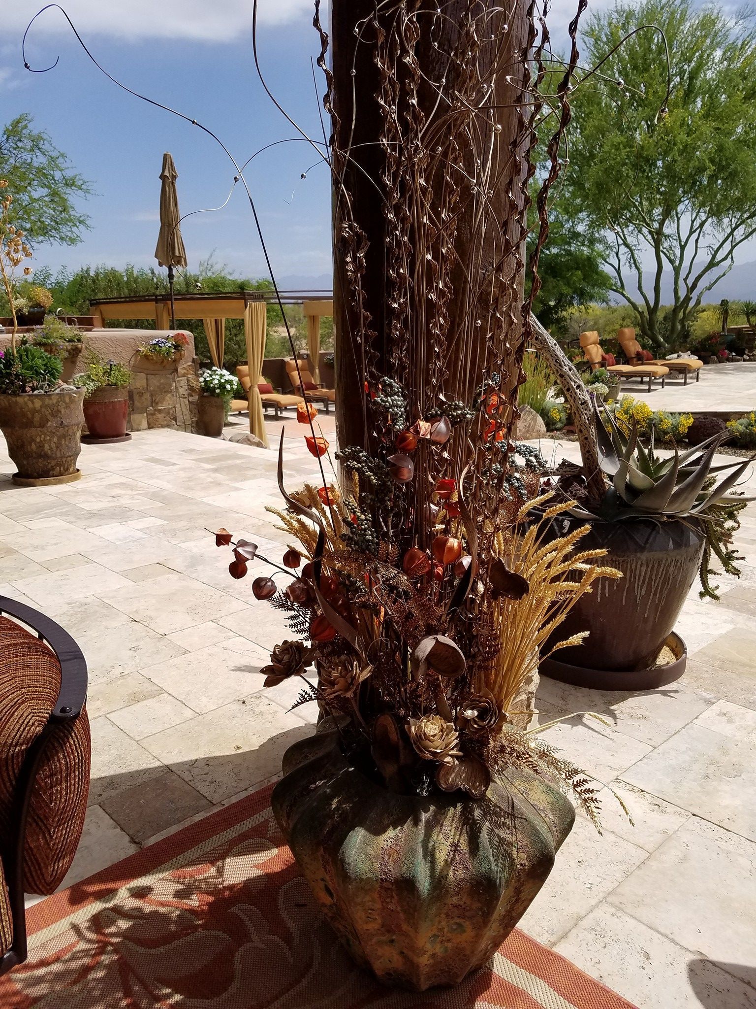 A patio with potted plants and a tree in the background