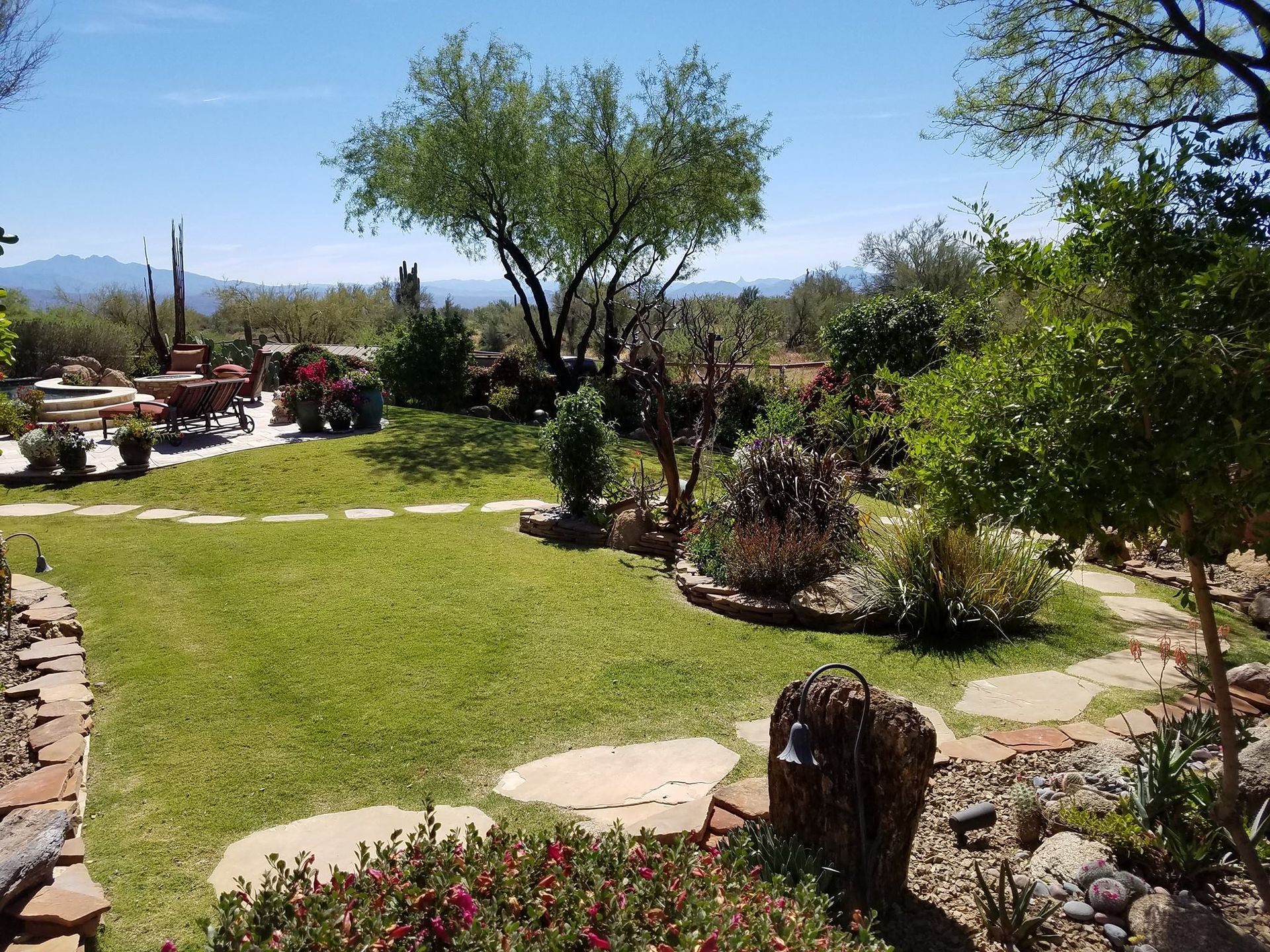 A lush green garden with trees and flowers on a sunny day