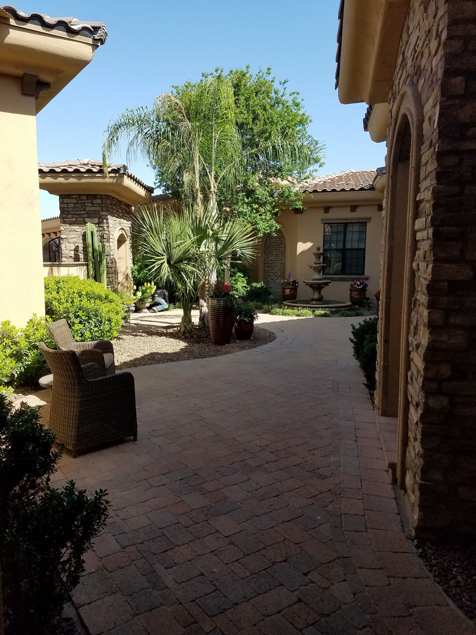 A courtyard between two buildings with a tree in the middle.