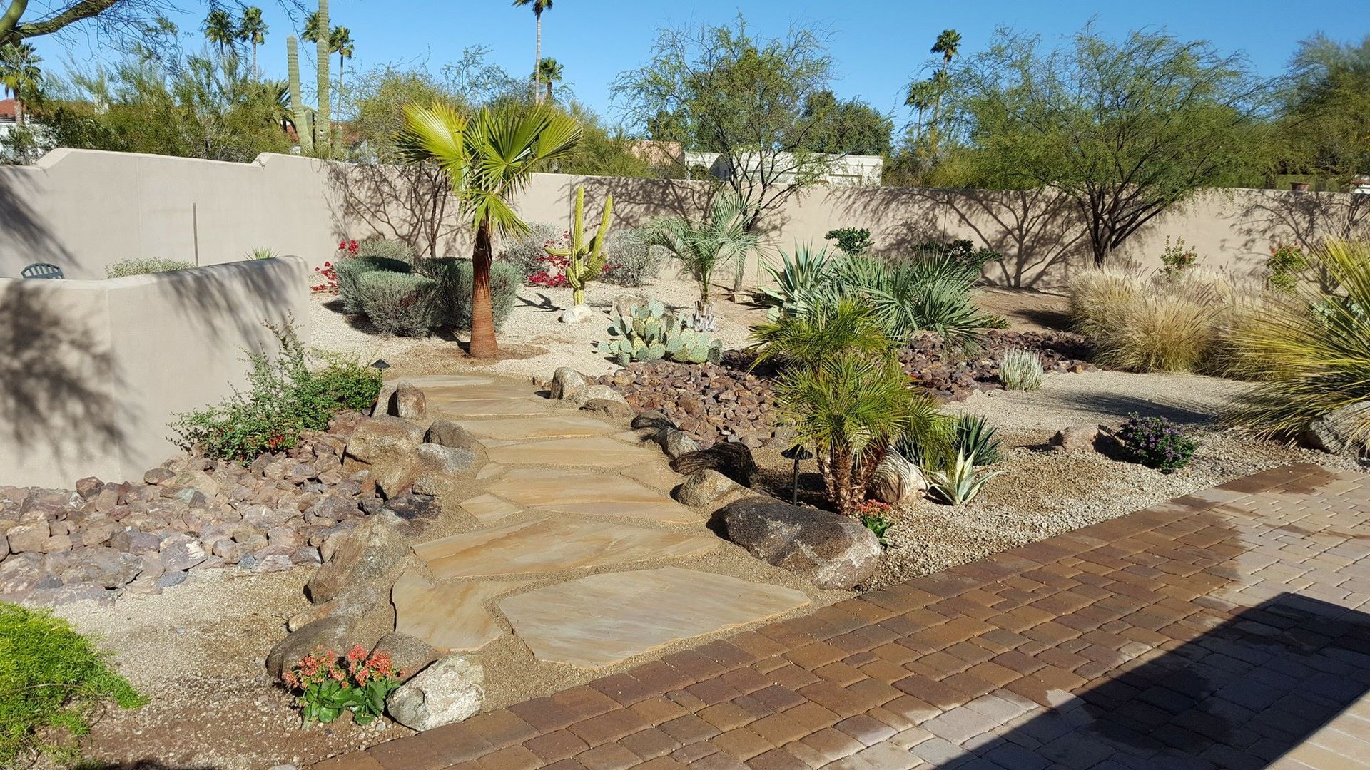 A garden filled with lots of plants and flowers on a sunny day.