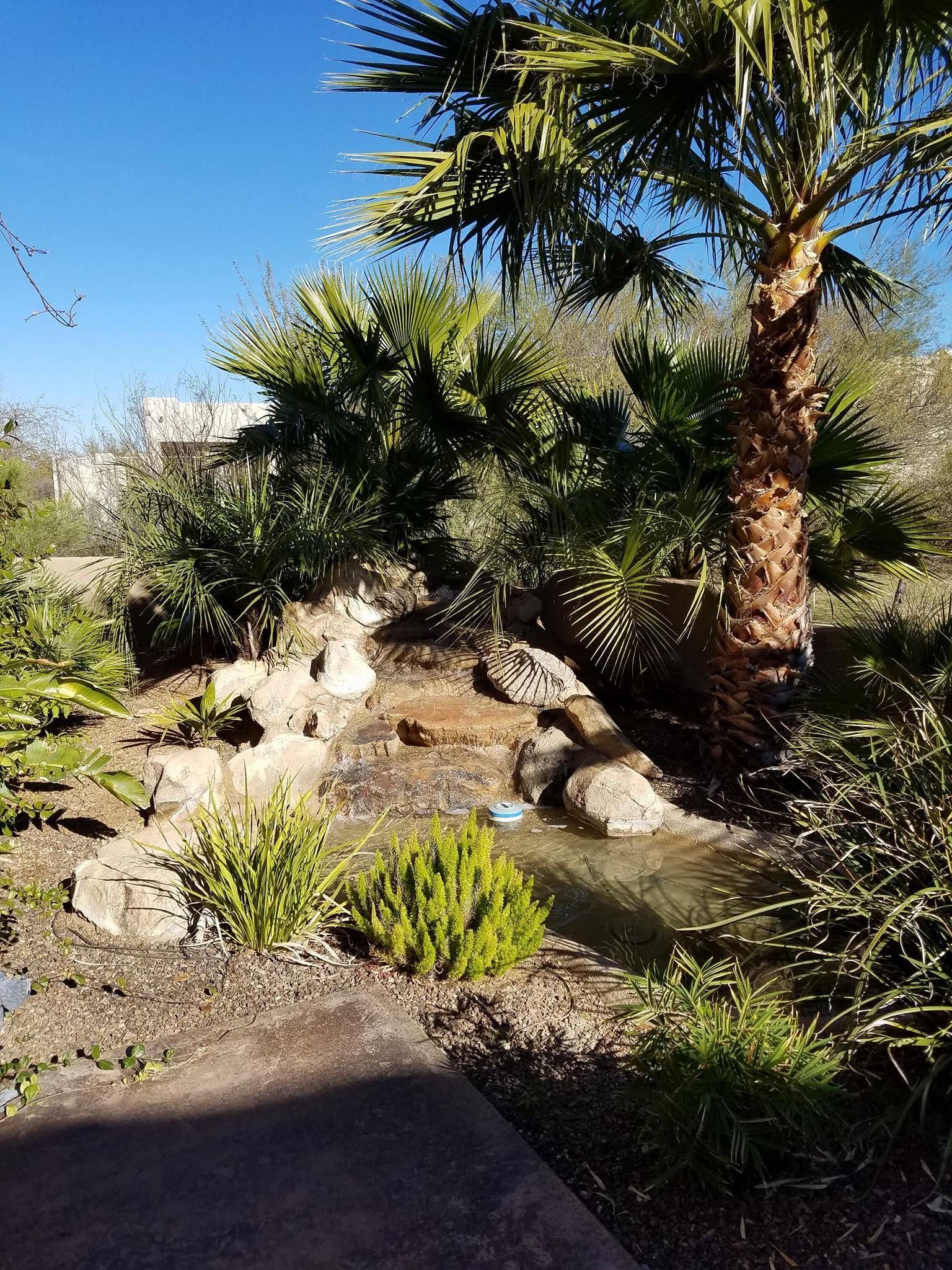 A garden filled with lots of plants and flowers on a sunny day.