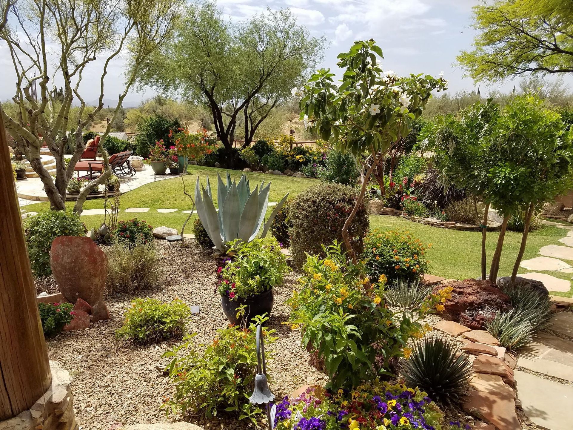 A garden filled with lots of plants and flowers on a sunny day.
