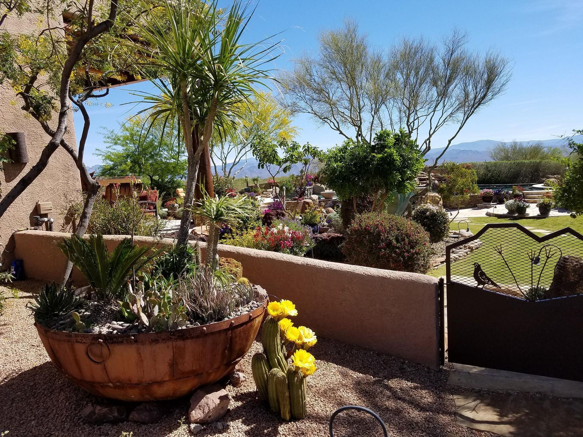 A large potted plant with yellow flowers in it