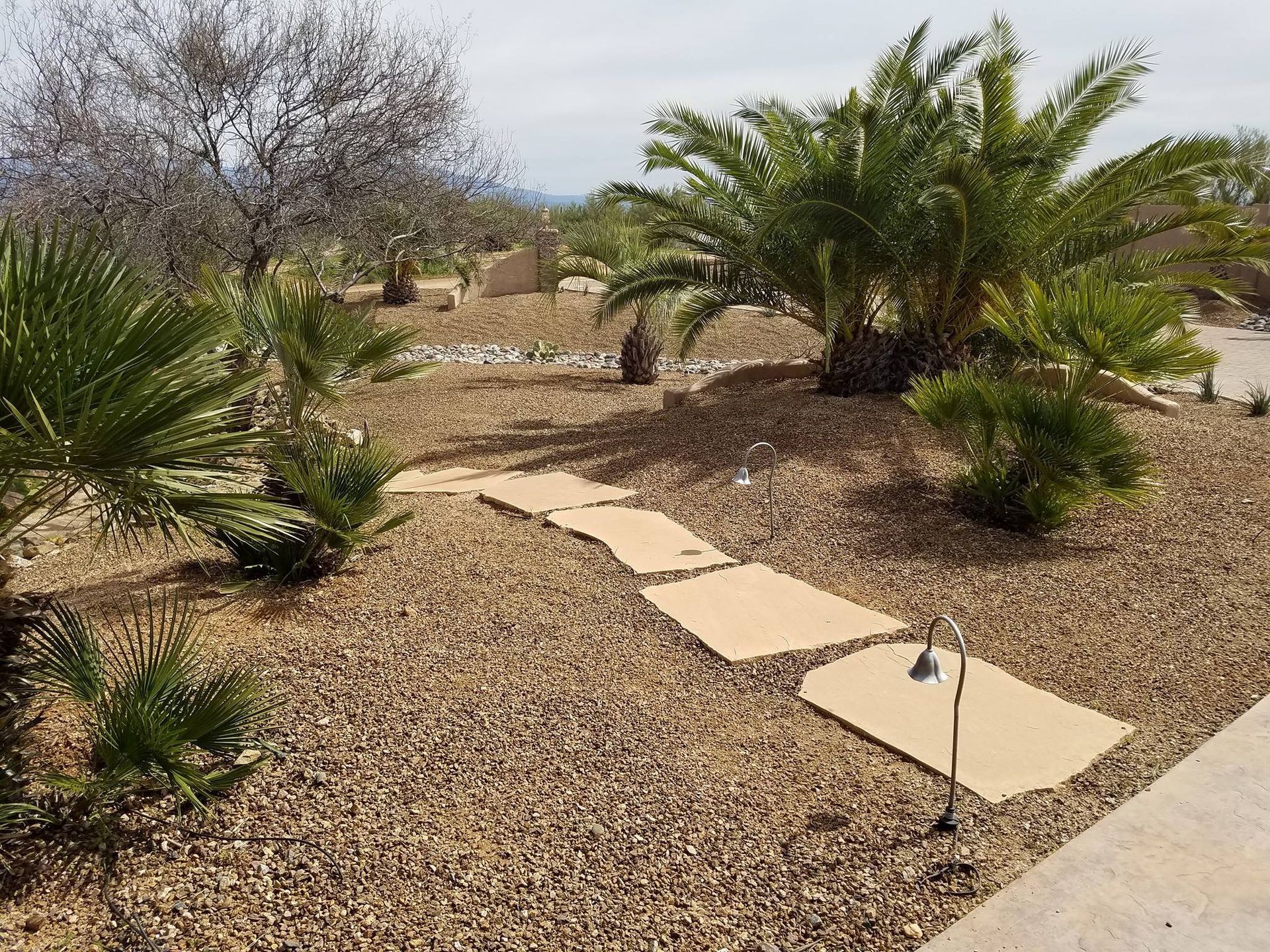 A walkway surrounded by trees and gravel in a garden