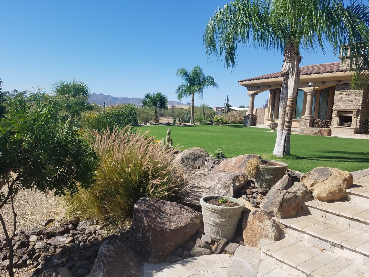 A large house with a lot of plants in front of it