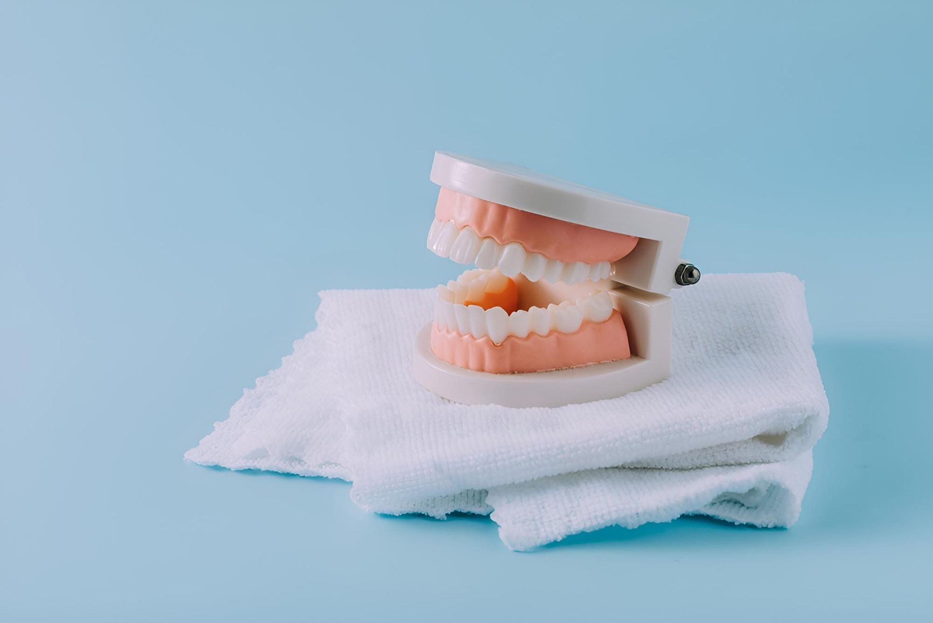 A Model of Teeth is Sitting on Top of a White Towel on a Blue Background — Trower Dental In Palmerston, NT