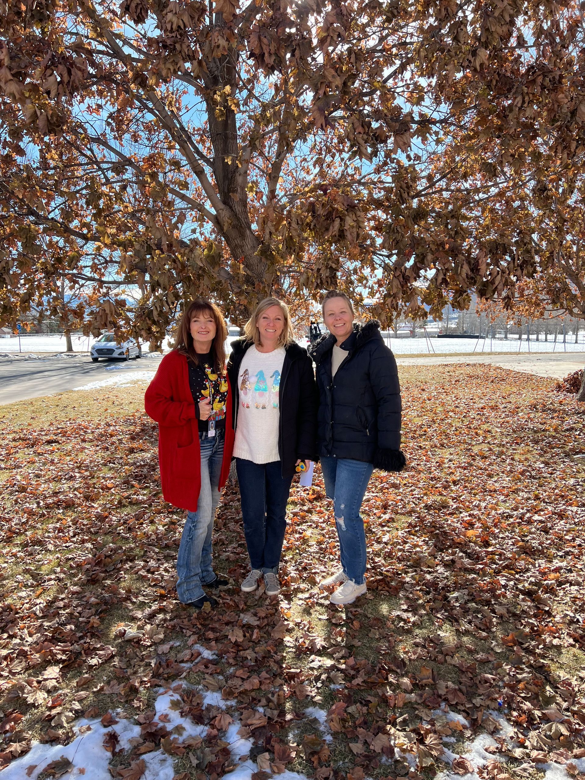 Three women are standing under a tree in a park.