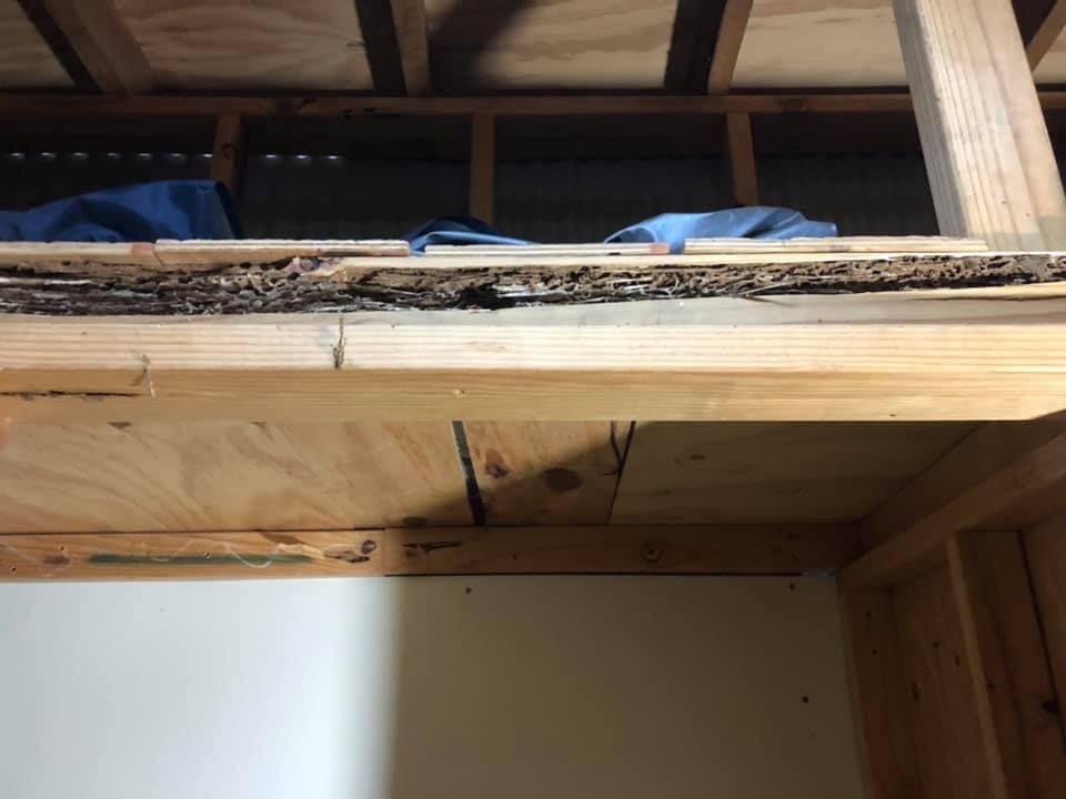 A Piece of Wood With a Gap From the Ceiling of a Room — TC Pest & Termite Control In Bowral, NSW