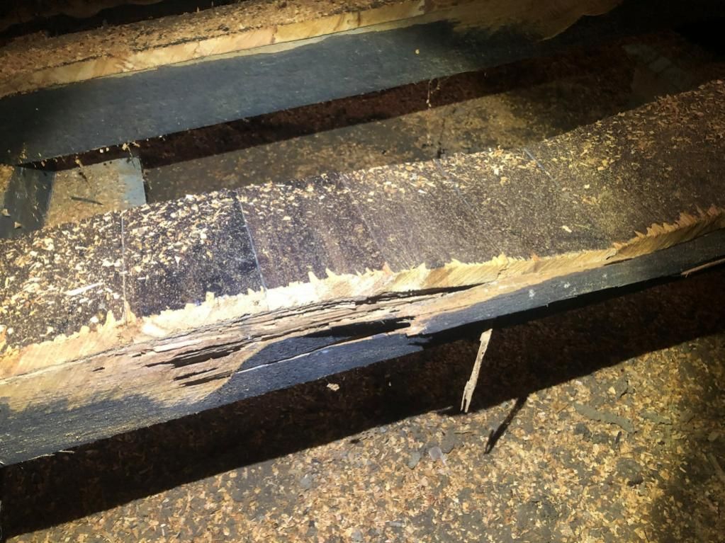 A Close Up of a Piece of Wood With a Hole in It — TC Pest & Termite Control In Bowral, NSW