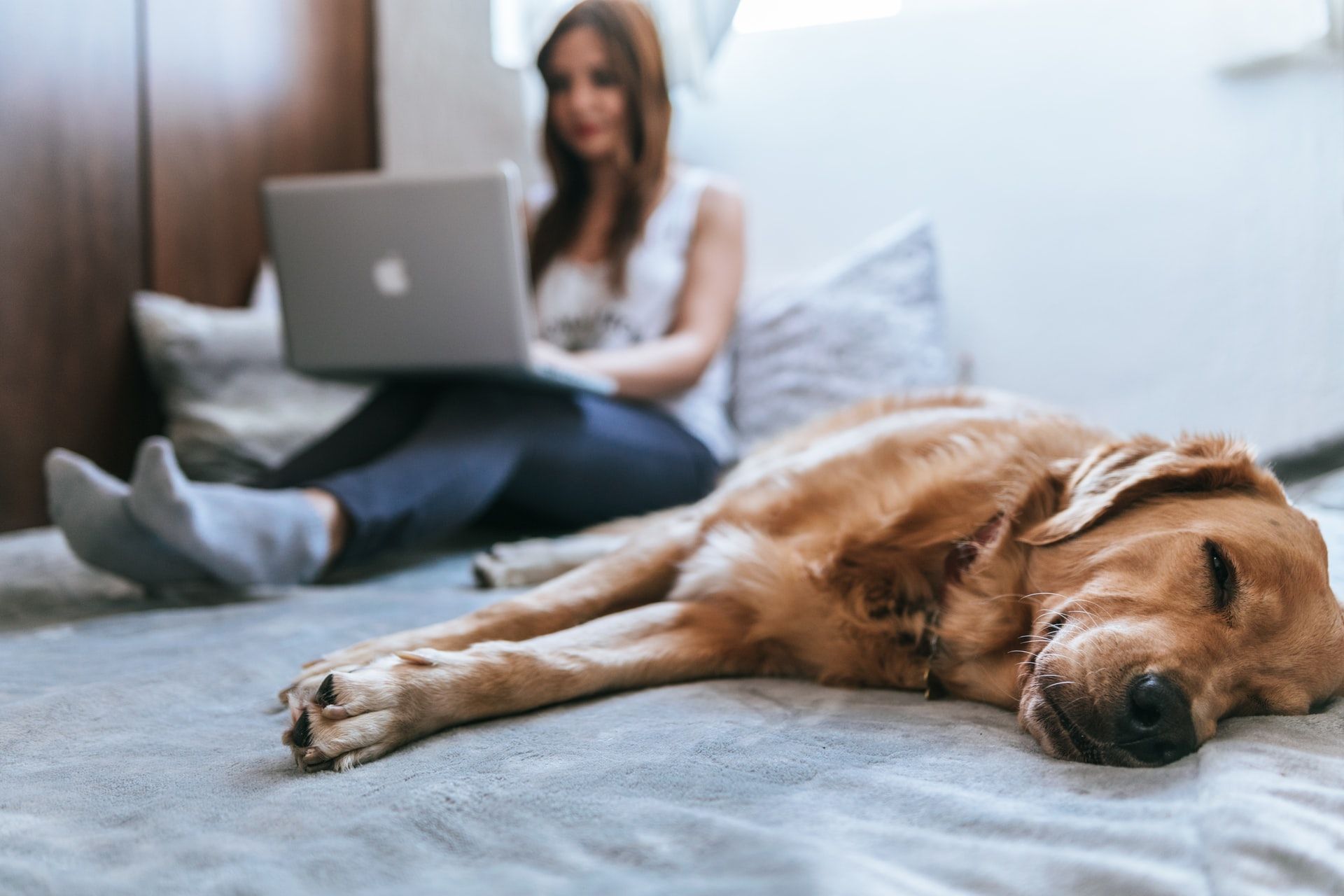 A woman is sitting on a bed with a laptop and a dog laying on the bed.