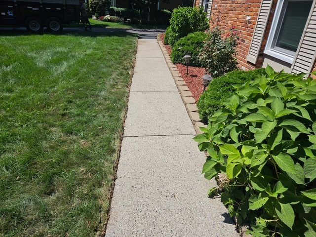 Picture of clean sidewalk after power washed