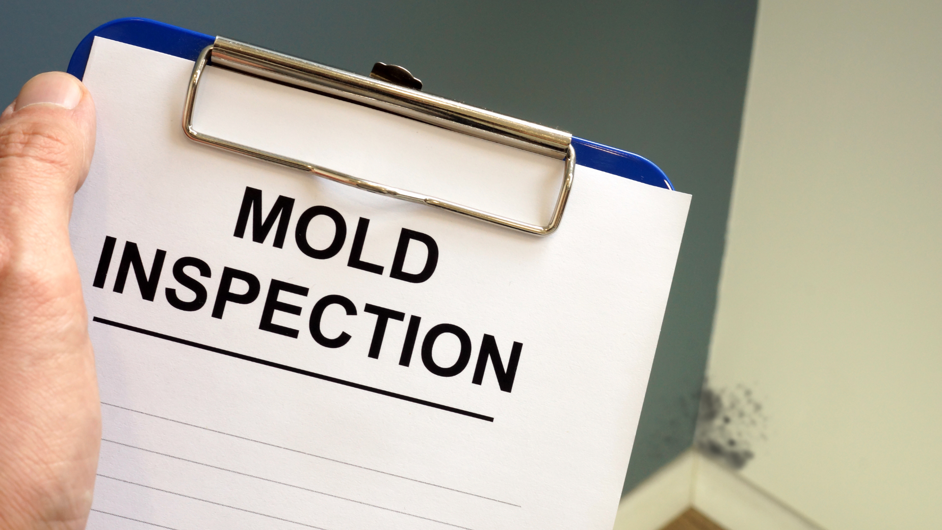 A person is holding a clipboard with a mold inspection on it.