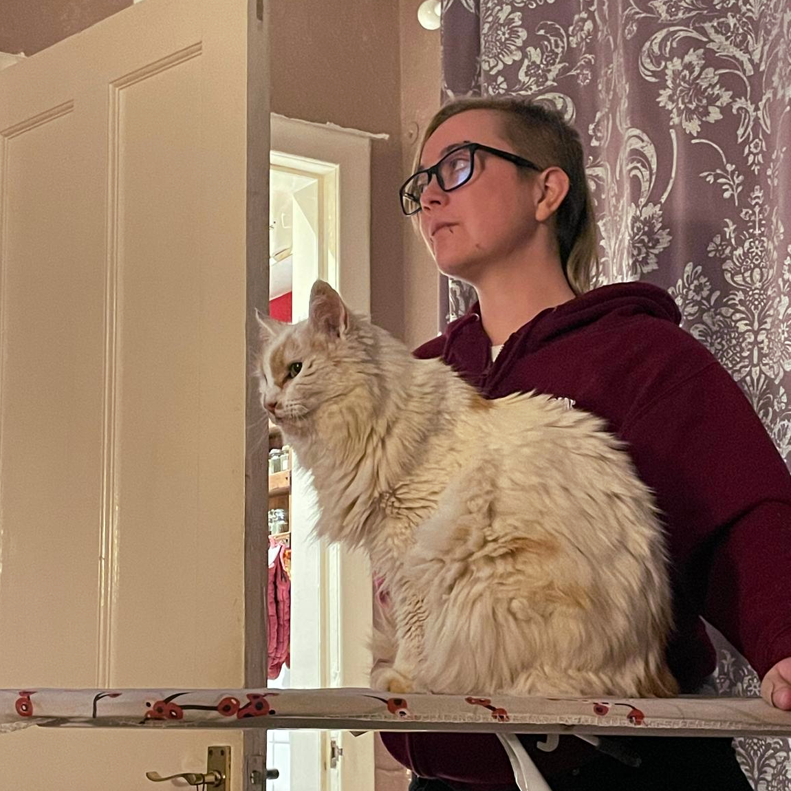 A person with glasses and short hair looks to the left. In front of them, a fluffy white cat looks in the same direction.