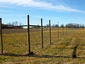 Fence — Deer Fence in Deerwood, MN