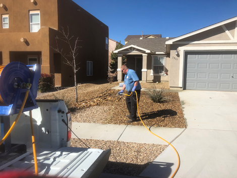 Pulling Weeds - Weed Control in Albuquerque