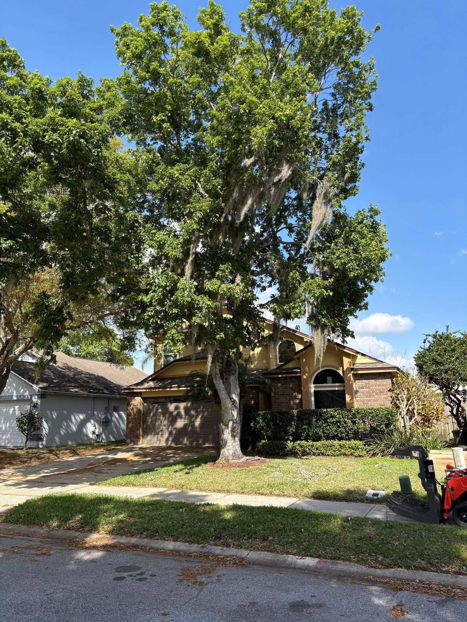 A house with a large tree in front of it.