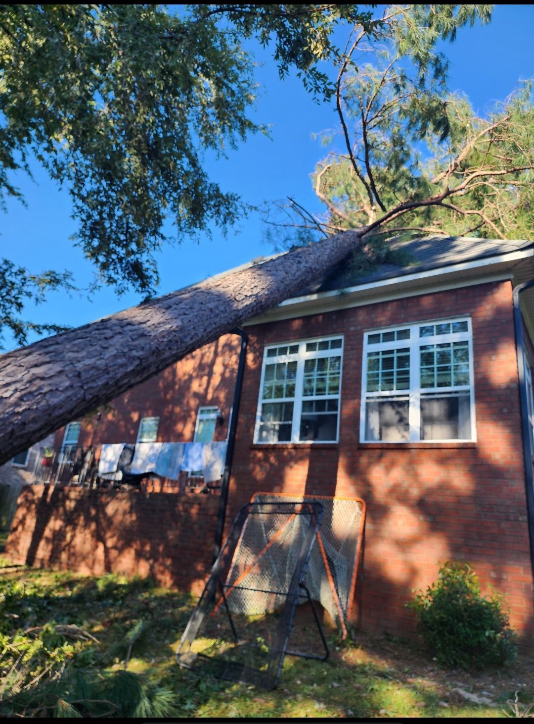 A tree has fallen on top of a brick house