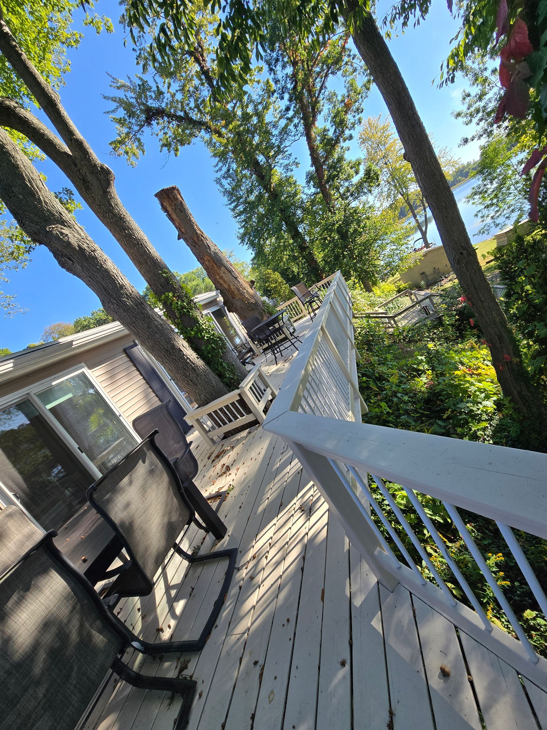 A wooden deck with patio furniture overlooks a tree-lined lake on a sunny day, captured from a low-angle perspective.