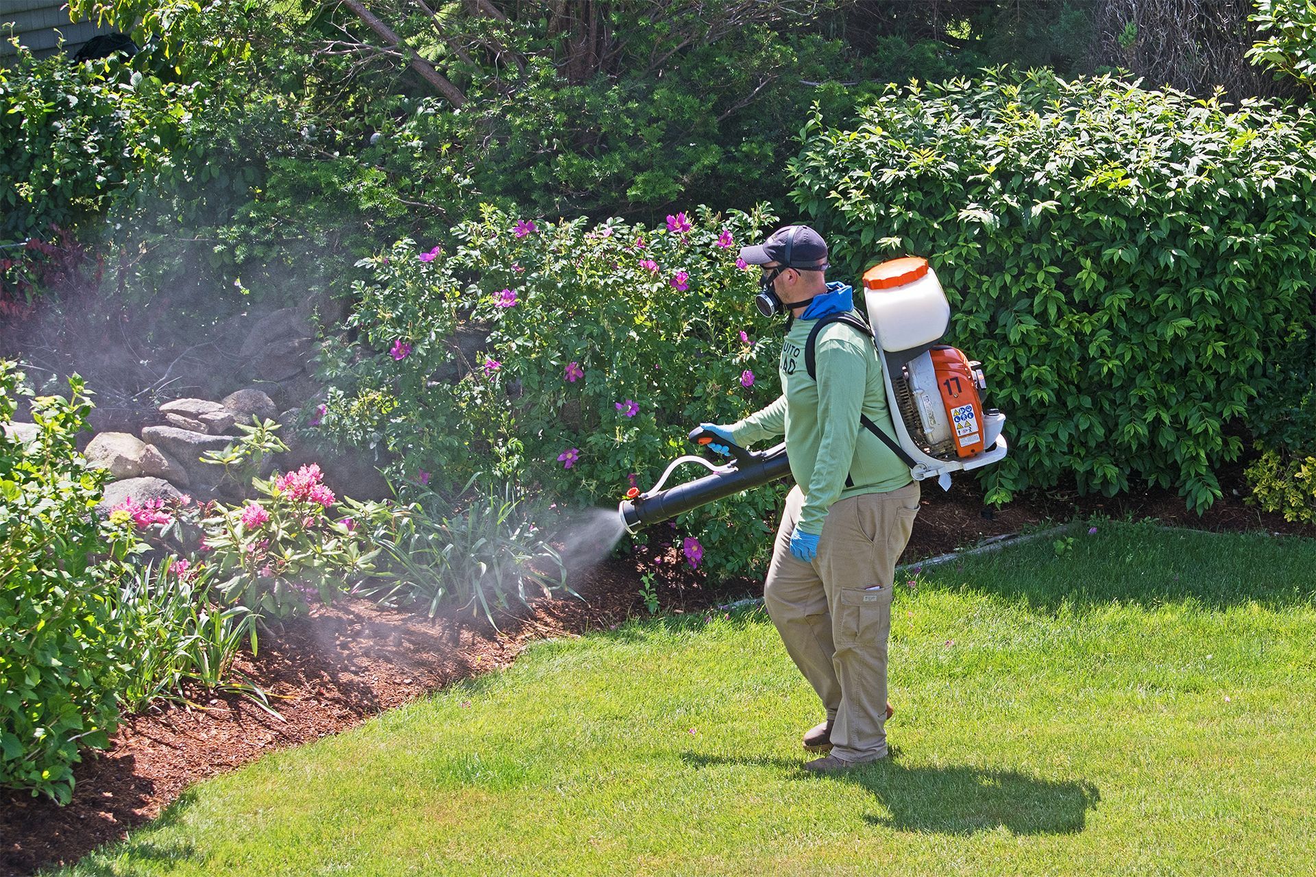 spraying insecticide in backyard