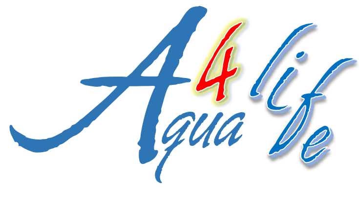 A4 life is written in blue and red on a white background