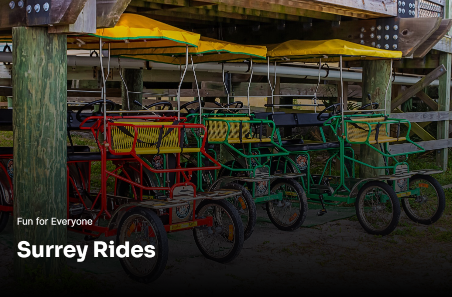 surrey bikes