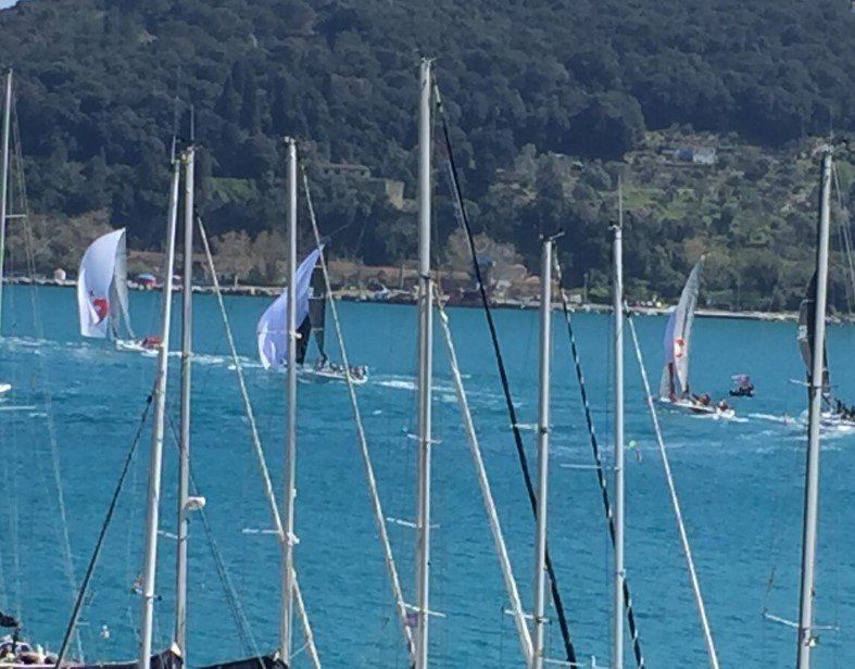 Barche a vela