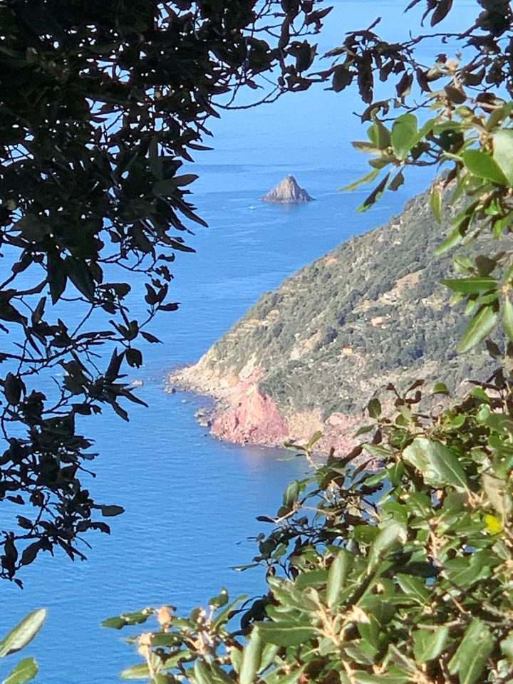 Vista sull'oceano azzurro attraverso alberi frondosi, costa rocciosa e piccola isola in lontananza.