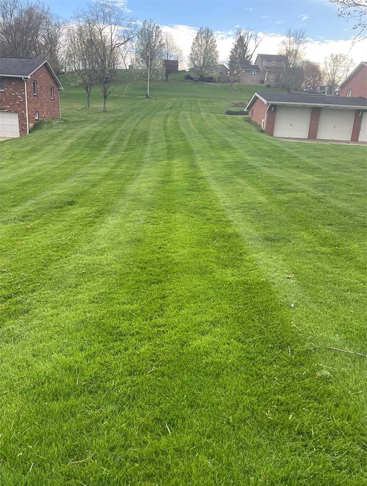 A lush green lawn with two garages in the background and a house in the background.