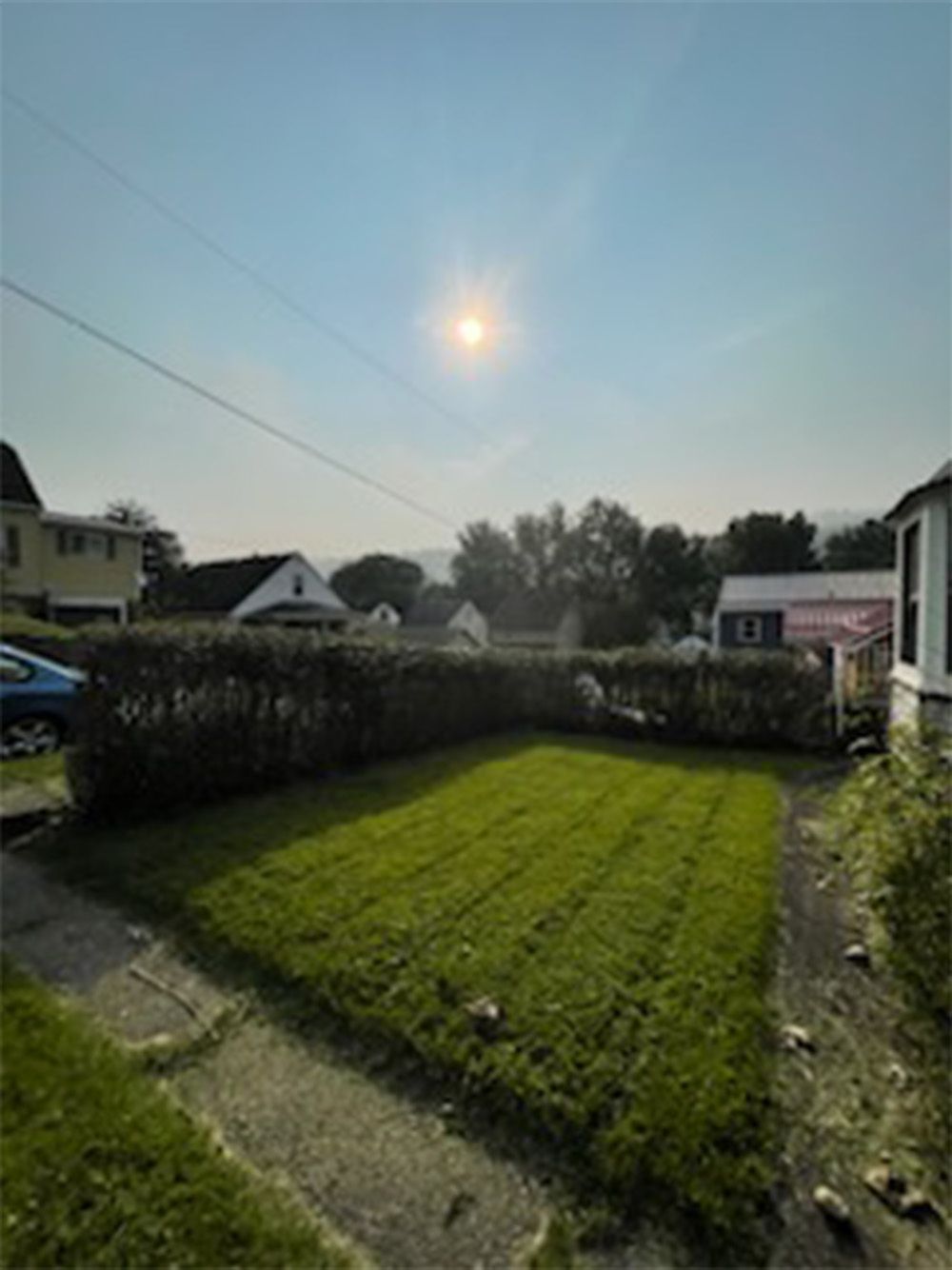 The sun is shining brightly over a lush green yard