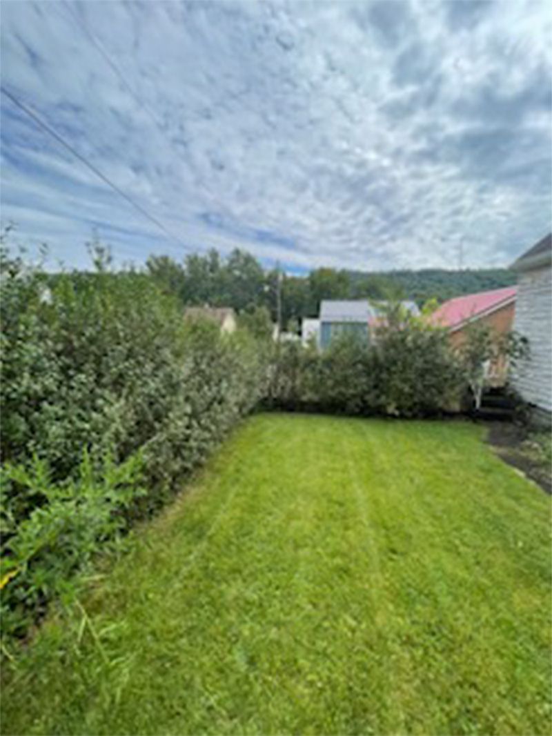 A lush green yard with a house in the background.