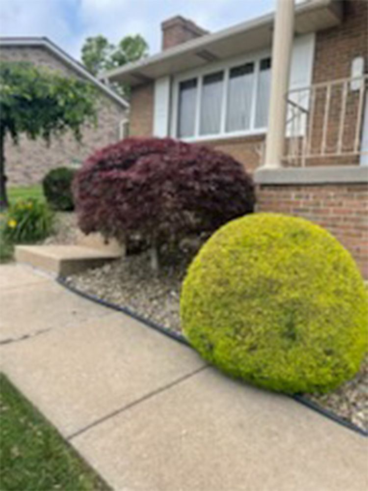 A brick house with a sidewalk and bushes in front of it.