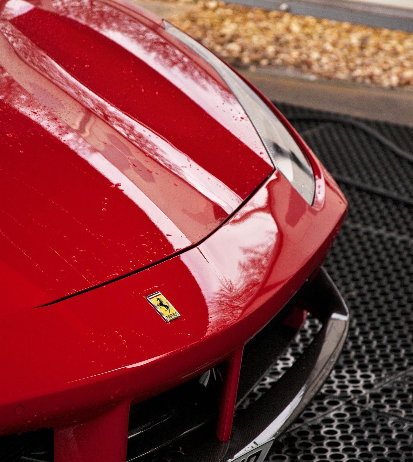 Close-up of a red Ferrari sports car hood with a prancing horse emblem on a textured surface
