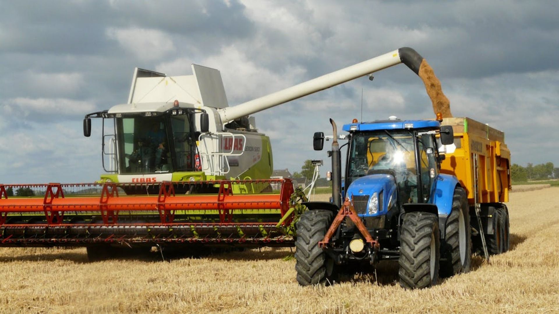 Una cosechadora descarga grano en un tractor azul y un remolque amarillo en un campo dorado.
