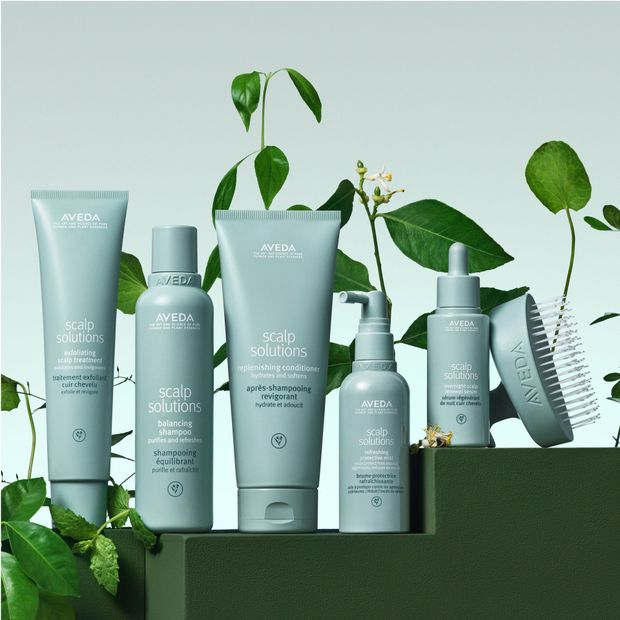 A selection of AVEDA brand scalp solution products. 