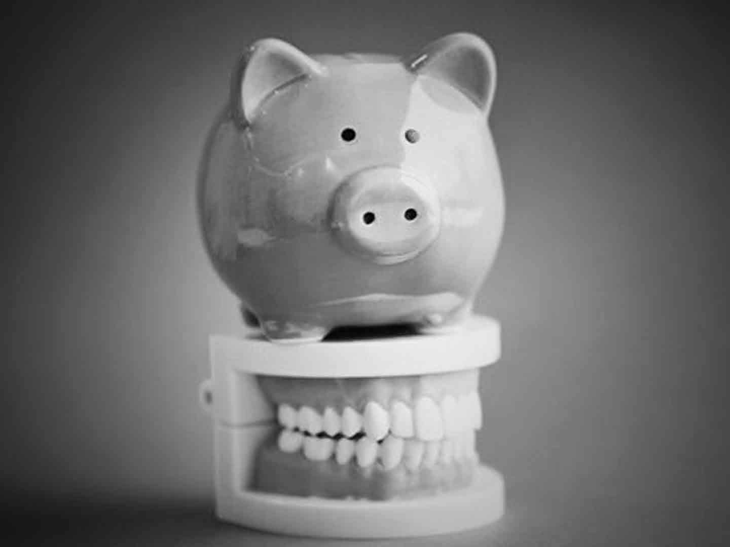 Piggy bank — Custom Denture Services in Maroochydore, QLD