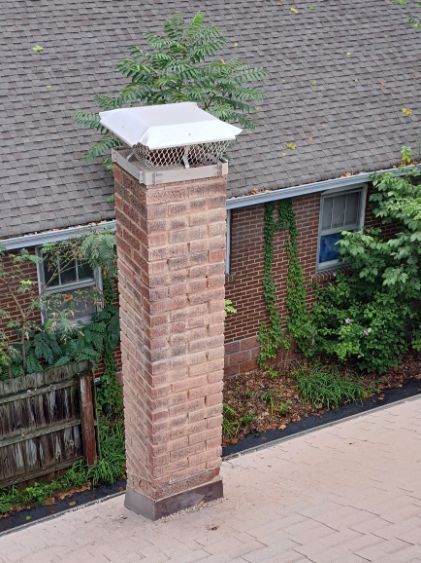 Brick chimney on a brown shingled roof, topped with a metal cap. Green foliage surrounds the base and grows above the chimney.