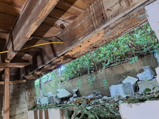 View through a broken wall: wooden beams above a window looking out onto overgrown greenery and broken concrete blocks.