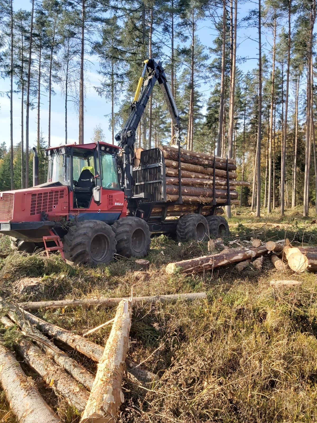 zāģeru pakalpojumi