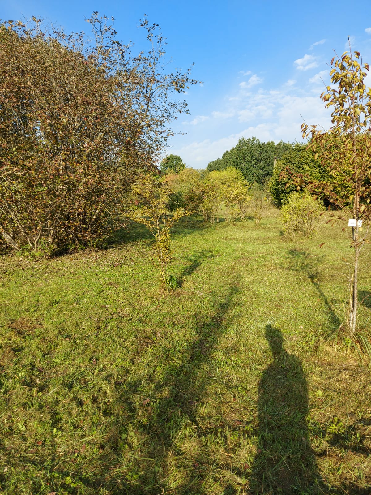благоустройство территорий