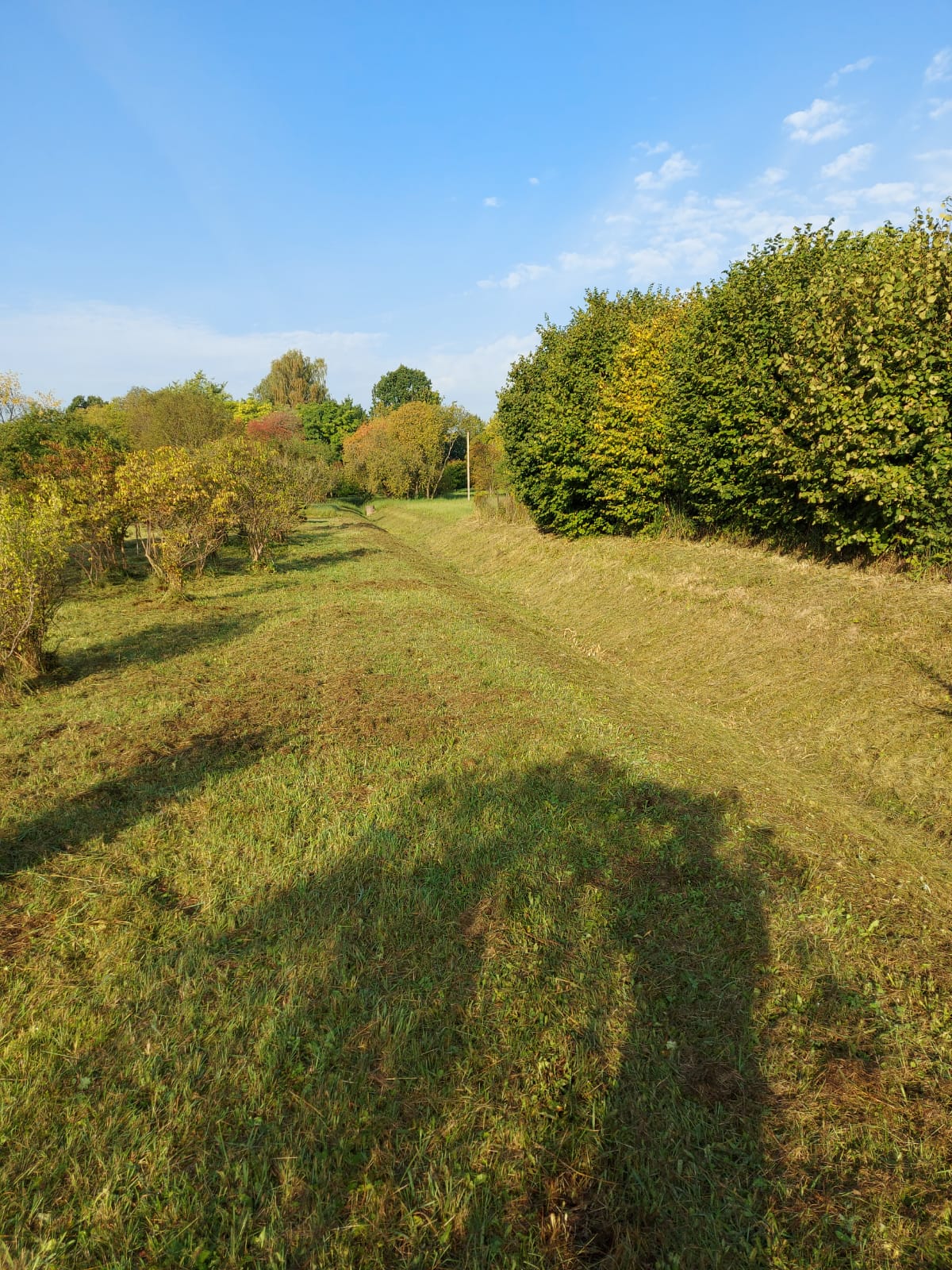 Apzaļumošanas, teritorijas labiekārtošanas pakalpojumi. Zālāju, zālienu ierīkošana pēc remontdarbiem