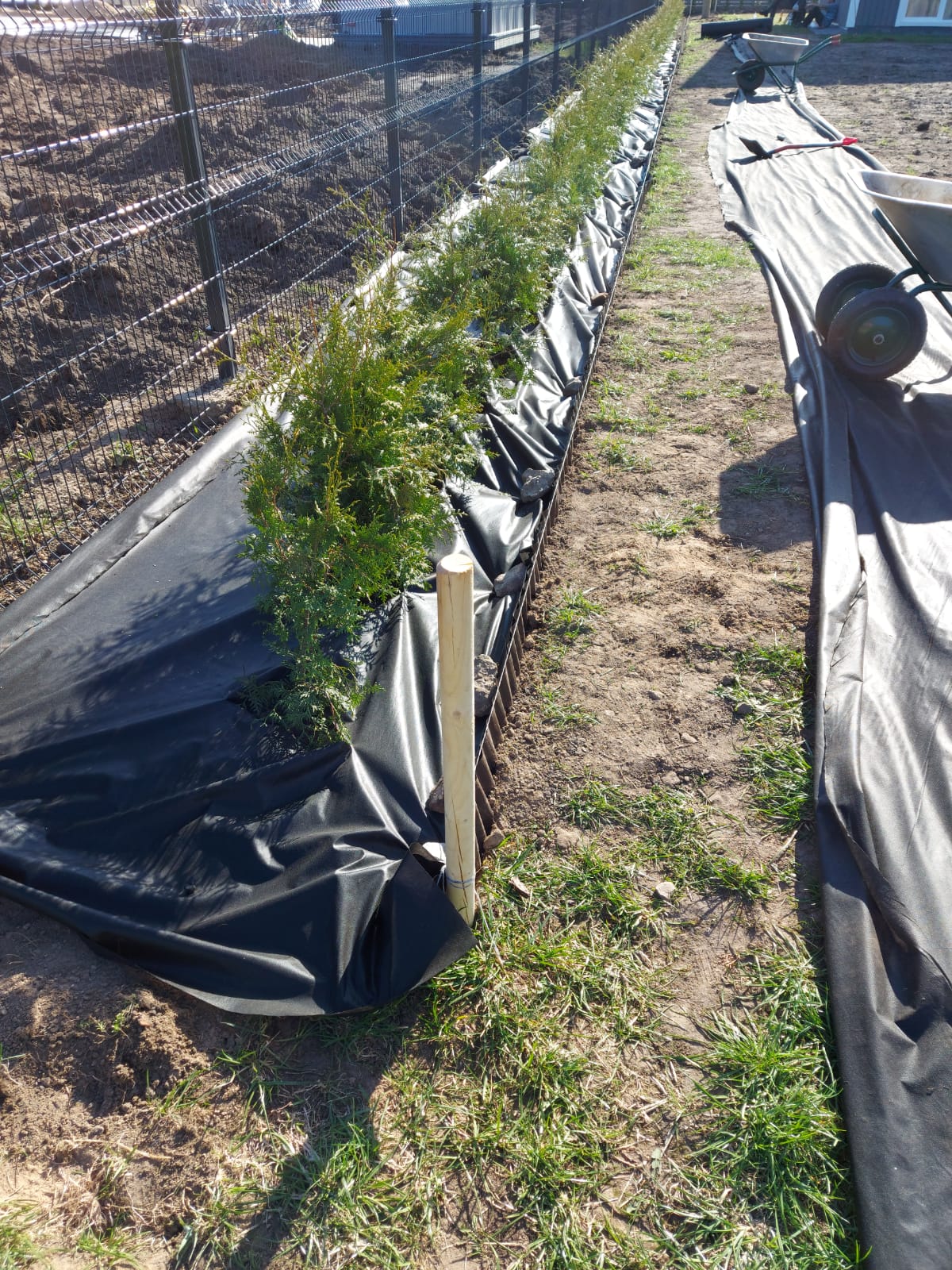 konsultācijas, dārzu teritoriju rekonstrukcija, dārzu kopšana uzturēšana