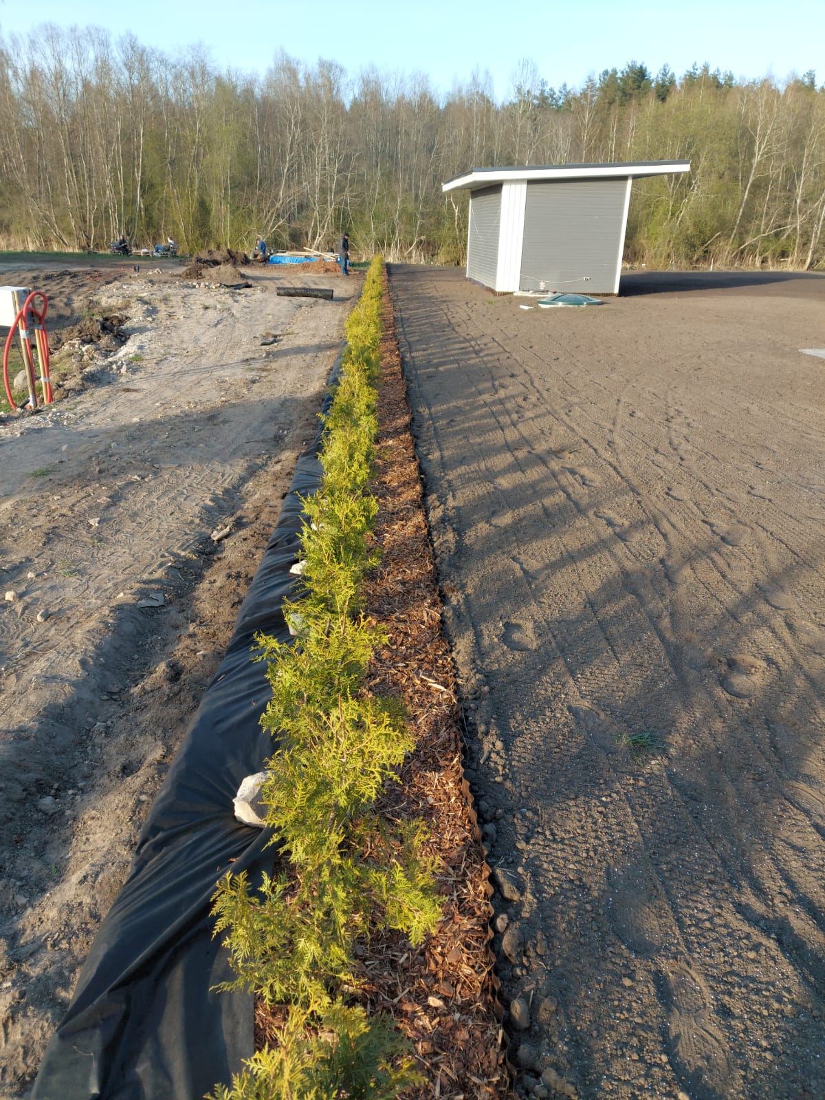 augļu koku veidošana, augļu krūmu veidošana, augļu dārzu ierīkošana