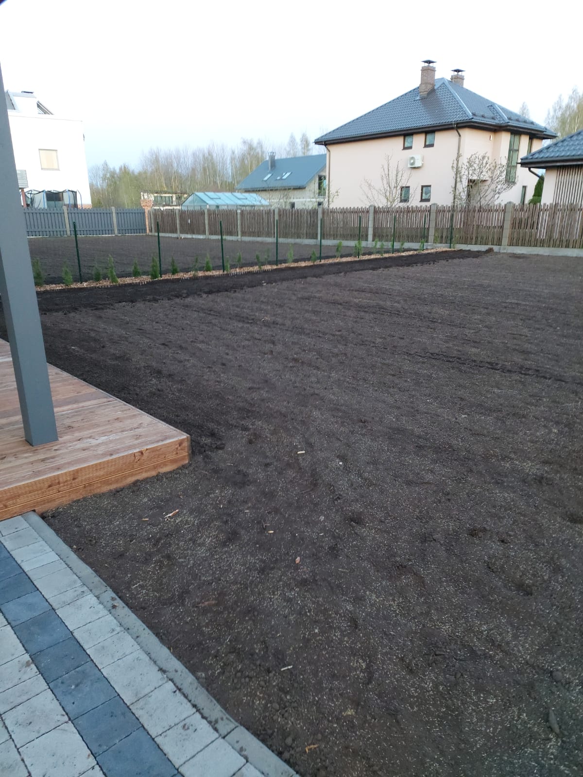 speciālie zālieni, zāliena ierīkošana, zāliena blietēšana