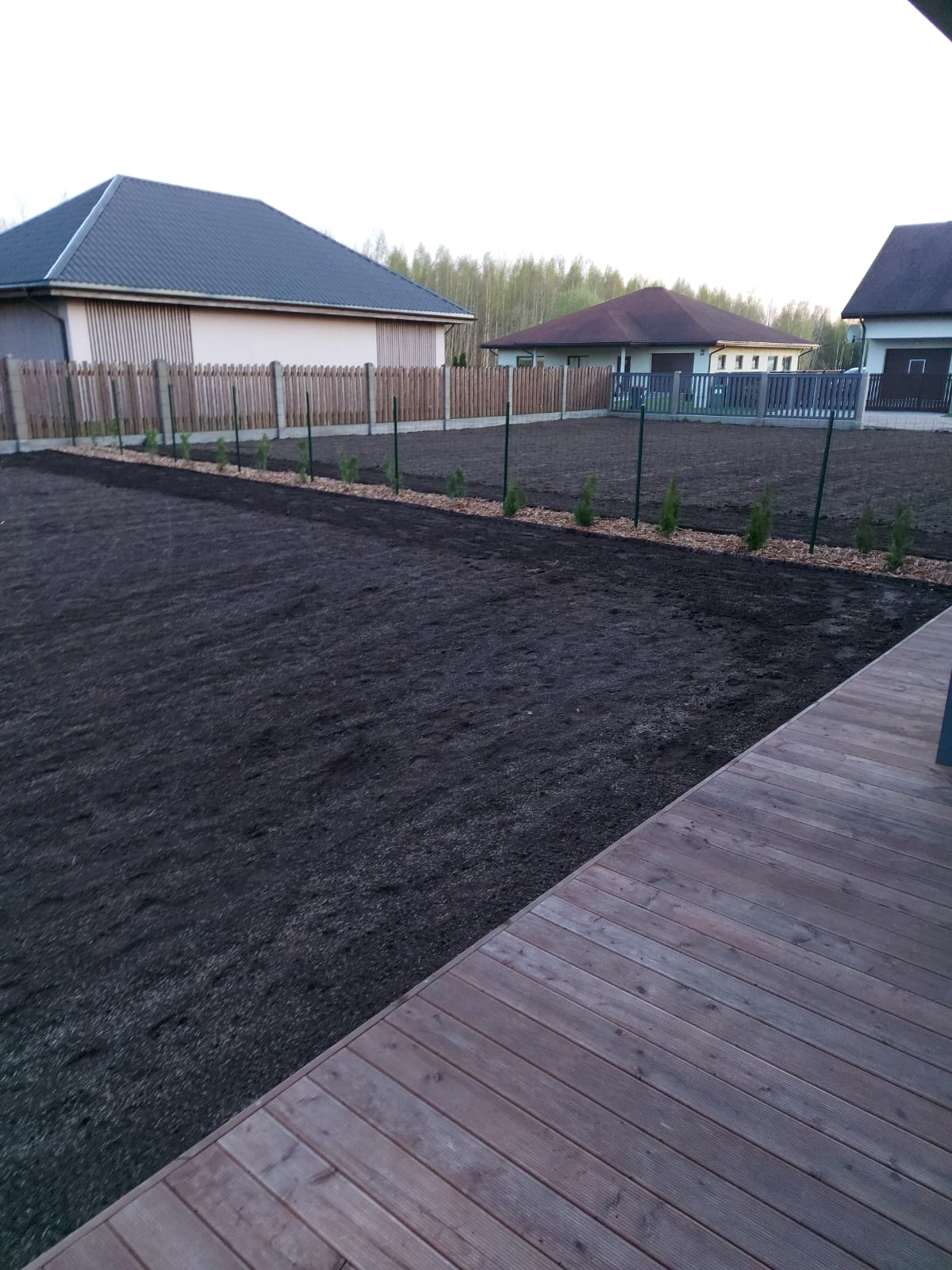 zāliena planēšana, zāliena aizstājēji, dārza ierīkošana