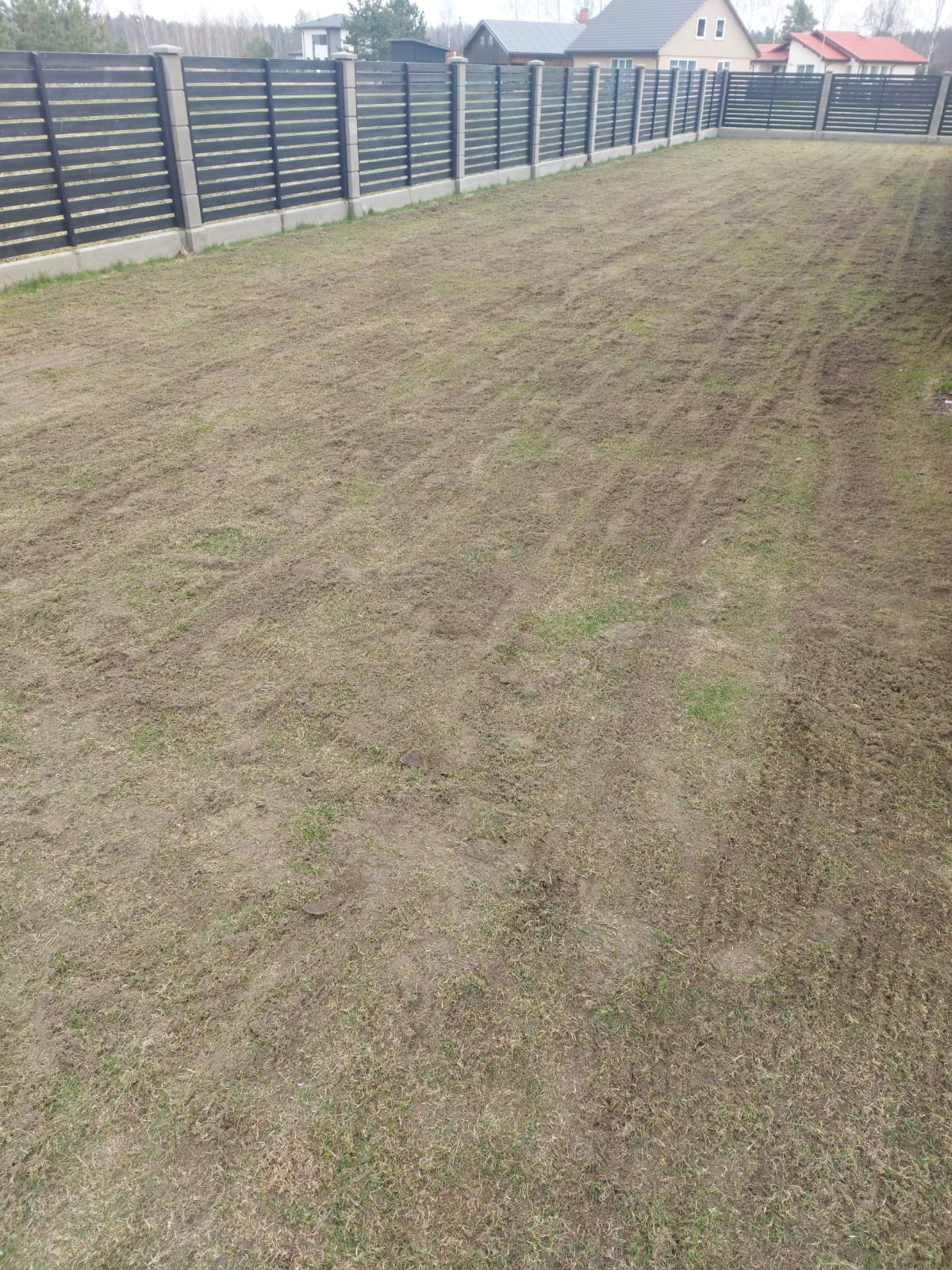 teritoriju apsaimniekošana, zāliena ierīkošana, zāliena kopšana, zāliens, paklājzāliena ieklāšana, paklājzāliens, apstādījumu kopšana un apsaimniekošana, zālienu pļaušana, zālienu mēslošana