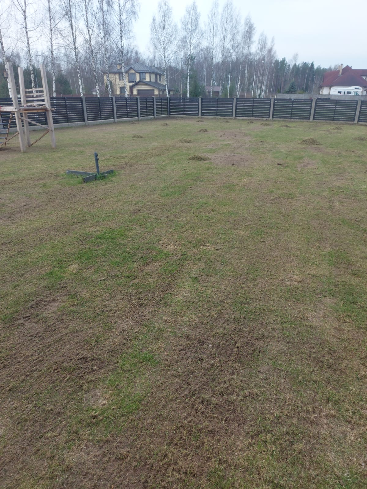 jumta dārzi, labiekārtošana, labiekārtošanas uzņēmumi, paklājzāliens