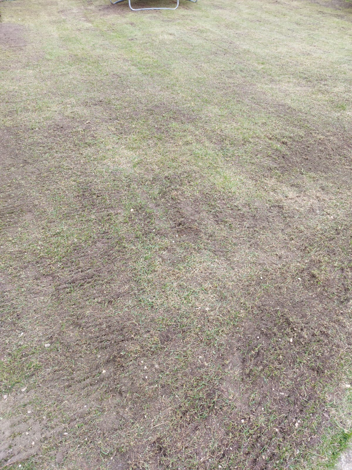 Zāliena ierīkošana, Labiekārtošana, Gardens