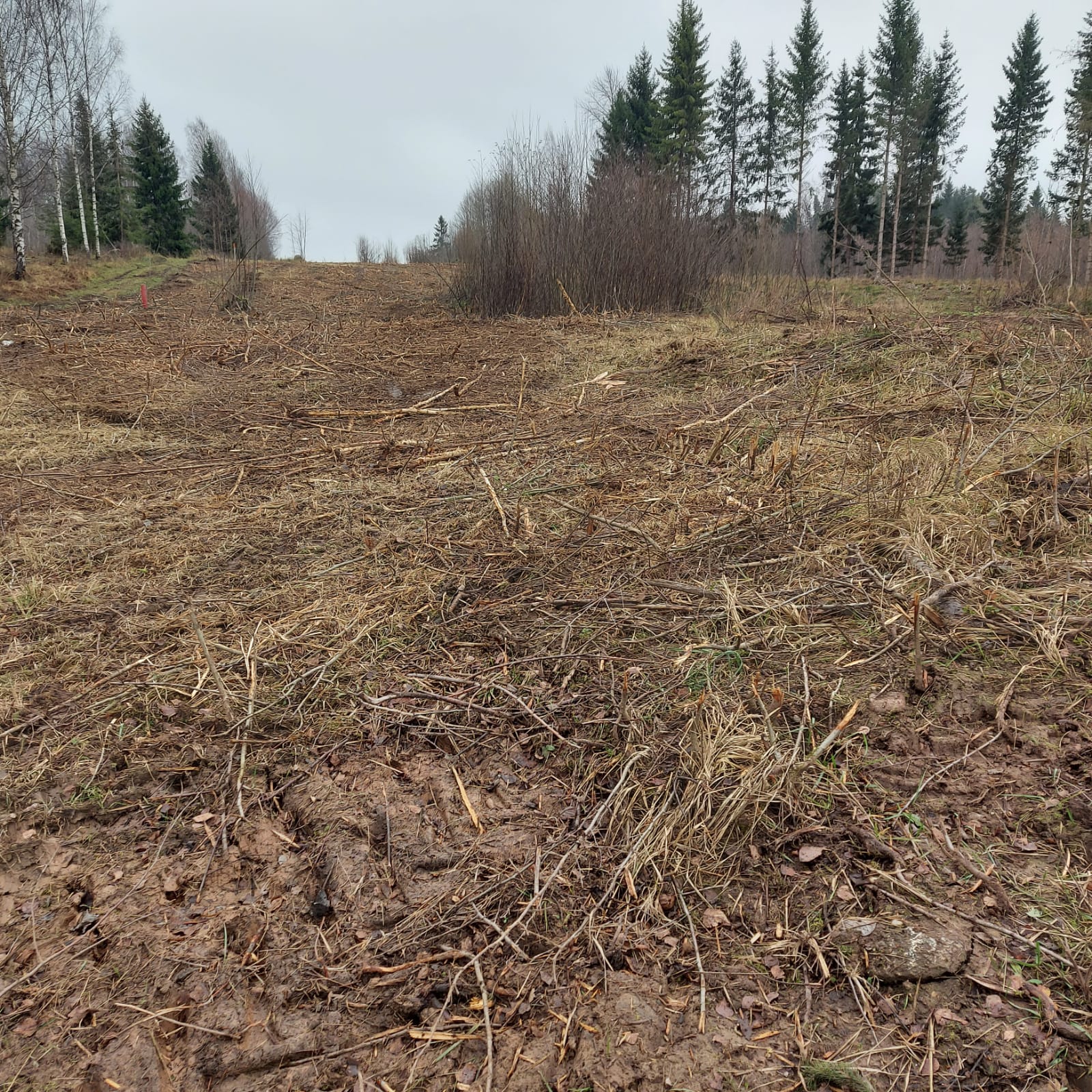 trimmera, zaru šķeldotāja pakalpojumus. Apauguma, koku, krūmu zāģēšanu pēc pasūtījuma